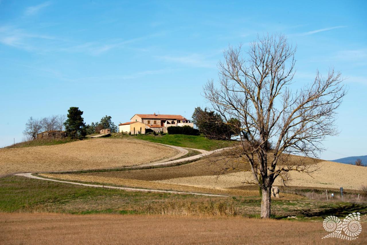 Poggio Alla Pietra 26 Porrona Экстерьер фото