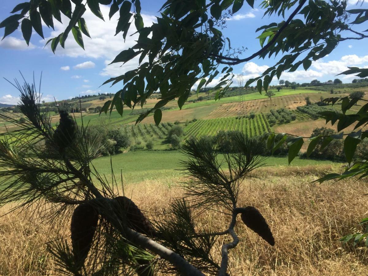 Poggio Alla Pietra 26 Porrona Экстерьер фото