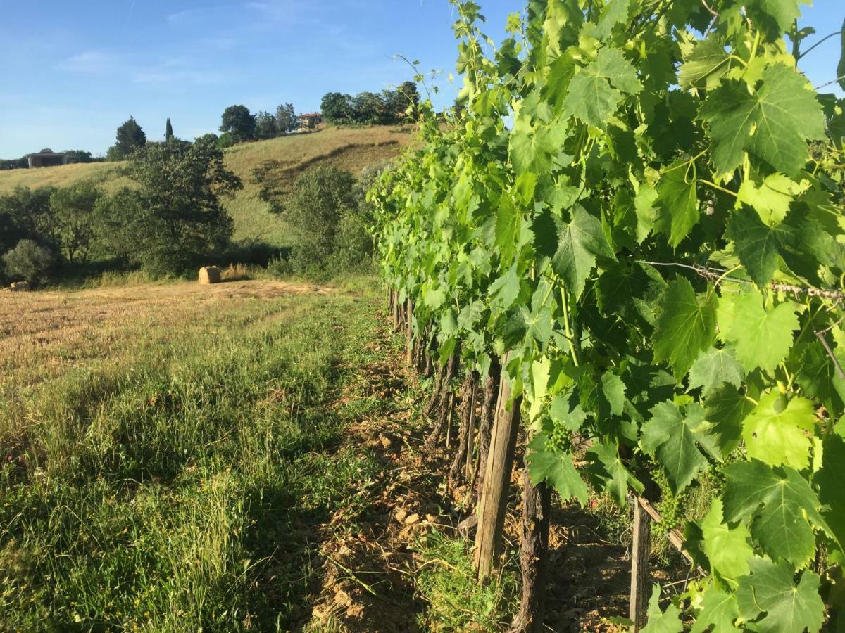 Poggio Alla Pietra 26 Porrona Экстерьер фото