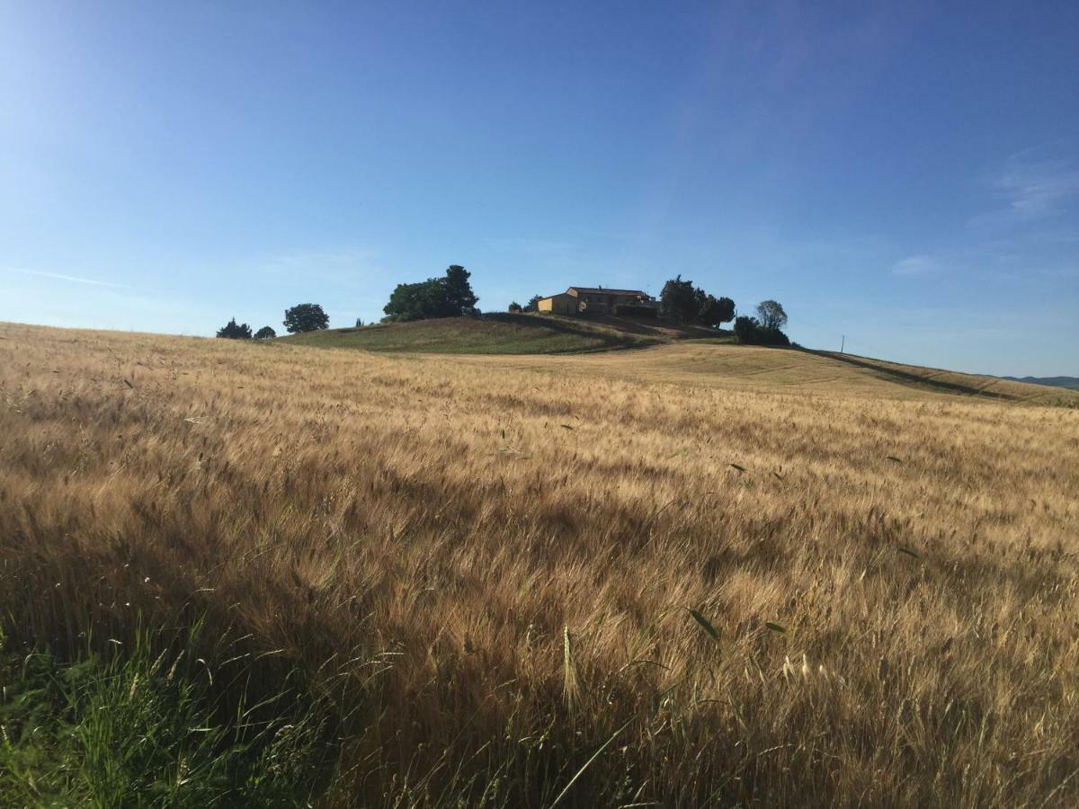 Poggio Alla Pietra 26 Porrona Экстерьер фото