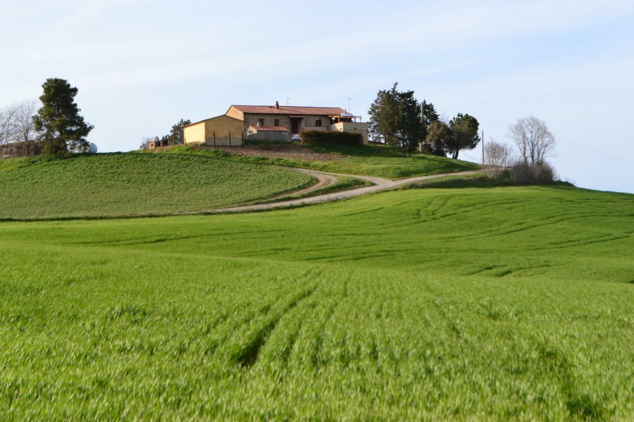 Poggio Alla Pietra 26 Porrona Экстерьер фото