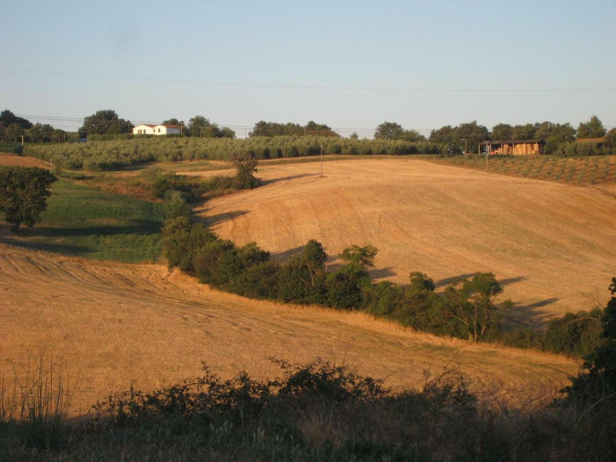 Poggio Alla Pietra 26 Porrona Экстерьер фото